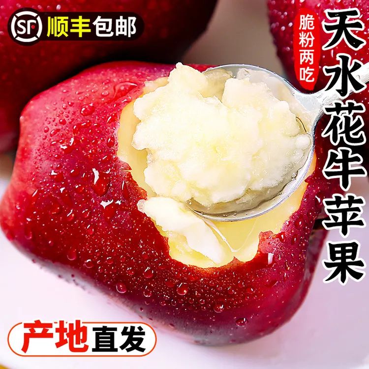 【顺丰包邮】甘肃天水花牛苹果5-9斤红蛇果新鲜水果小苹果红苹果