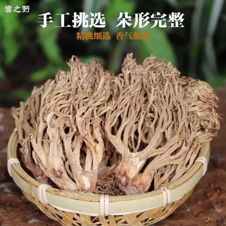云南菌菇特色煲汤食材下饭山野干货扫帚菌珊瑚菌刷把菌山货食用