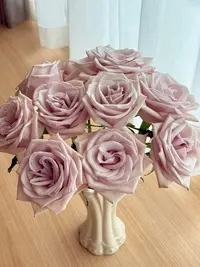 骑士----单头玫瑰芳香醉人浓郁