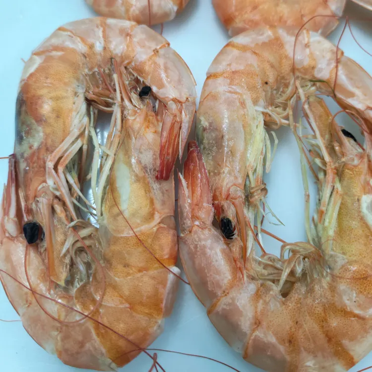 东营盐煮大虾开袋即食真实微咸即食味道可口每单3斤熟虾即食大虾