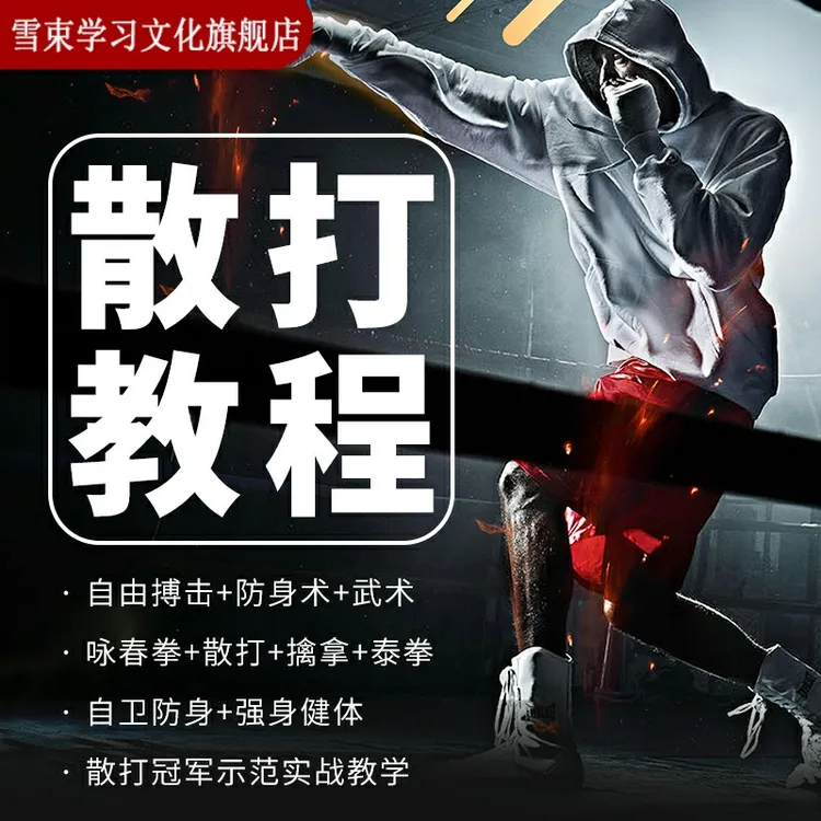 武术视频教程强身健体咏春拳散打太极拳跆拳道泰拳防身术入门教学