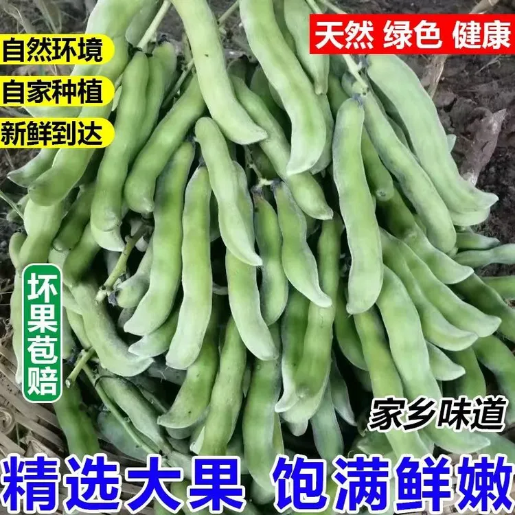 广西新鲜狗儿豆农家特产现摘美味猫儿豆狗爪豆下饭菜龙爪豆老虎豆