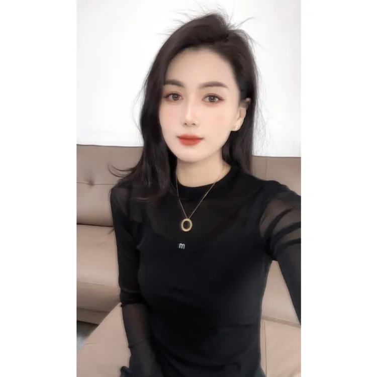 圆领长袖网纱t恤2025年夏季新款百搭时尚修身显瘦洋气打底衫女装