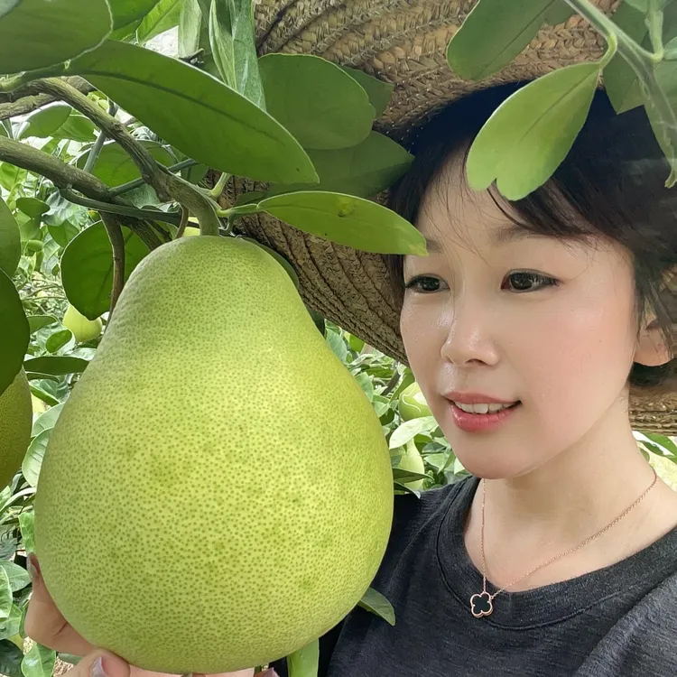 【小果五斤】【燕子归乡】正宗江西特产安福金兰柚清甜不酸 颗粒饱满 