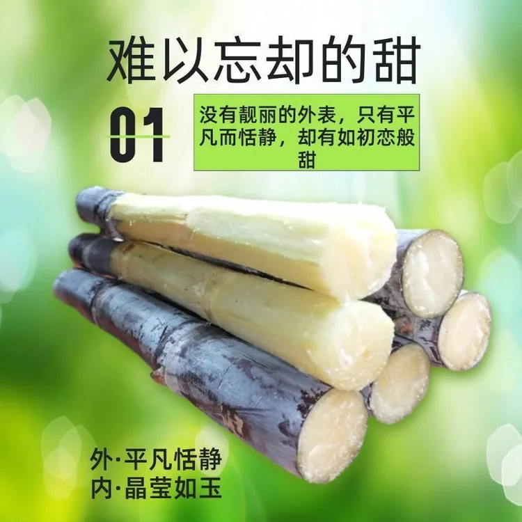 广西黑皮甘蔗新鲜脆甜多汁当季应季水果