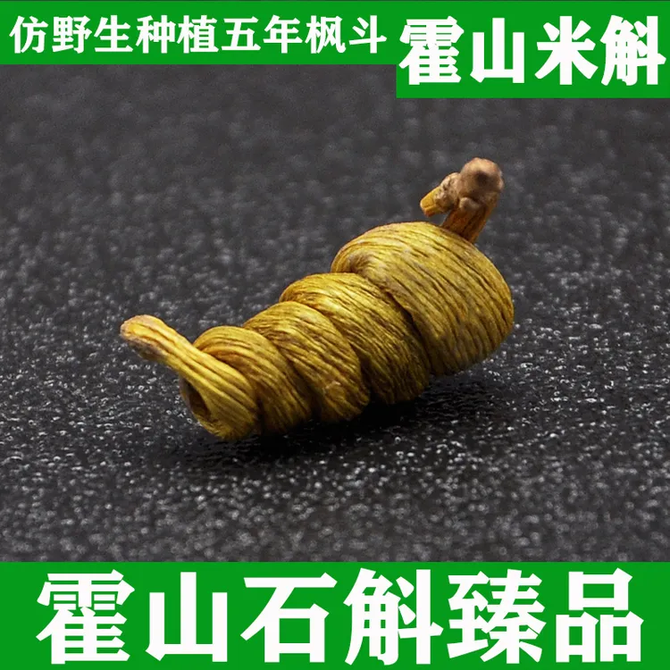 霍山石斛枫斗户外仿野生种植五年龙头凤尾米斛