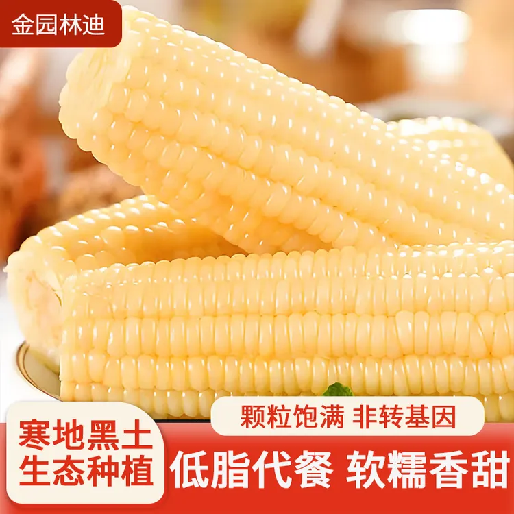 东北白糯玉米220-350g十支装真空锁鲜香甜饱满