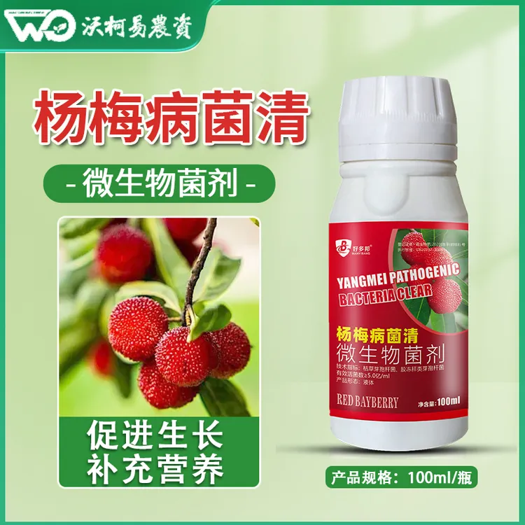 杨梅病菌清杨梅专用杨梅褐斑赤衣果腐炭疽枝腐配方升级微生物菌剂