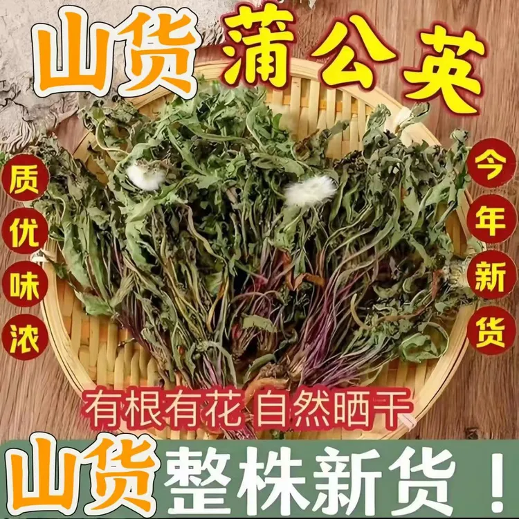 确山山货蒲公英 当季刚刚晾晒完成 整株带根