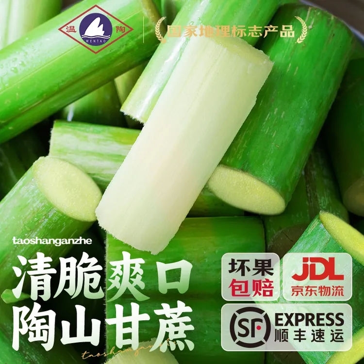 陶山青皮甘蔗新鲜水果3-5斤当季温州特产绿皮甘蔗榨汁脆皮整箱