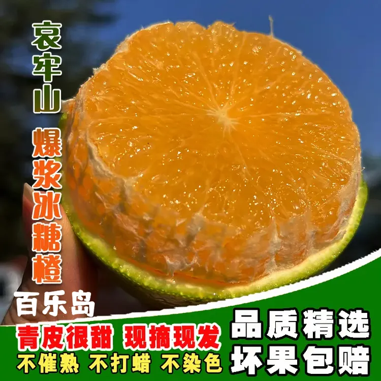【头茬·鲜果1】正宗云南哀牢山爆浆冰糖橙5斤皮薄肉厚清甜不酸现摘