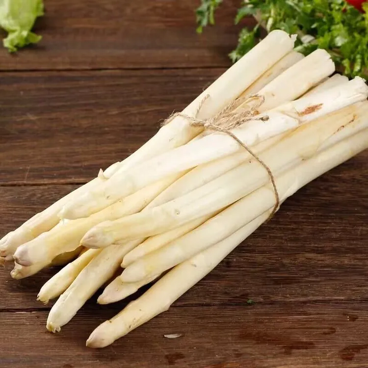 山东新鲜白芦笋现挖现发脆嫩多汁时令蔬菜