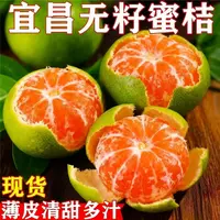 宜昌青皮蜜桔无籽酸甜多汁当季现摘青皮橘子新鲜薄皮橘子孕妇水果
