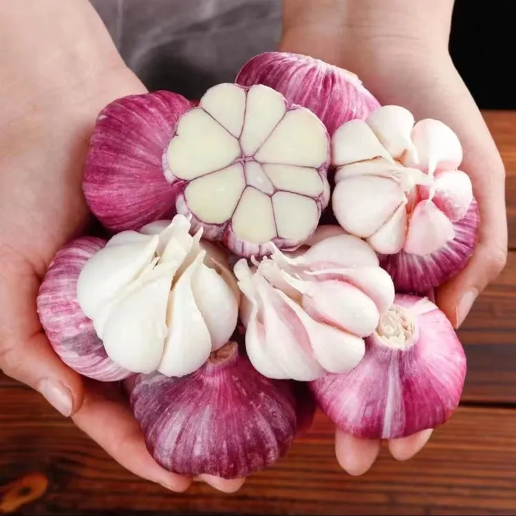云南紫皮干大蒜
