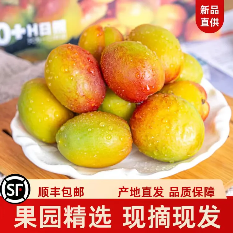 顺丰空运产地直发【新疆阿克苏芒果】杏非阿瓦提芒果杏小白杏红杏