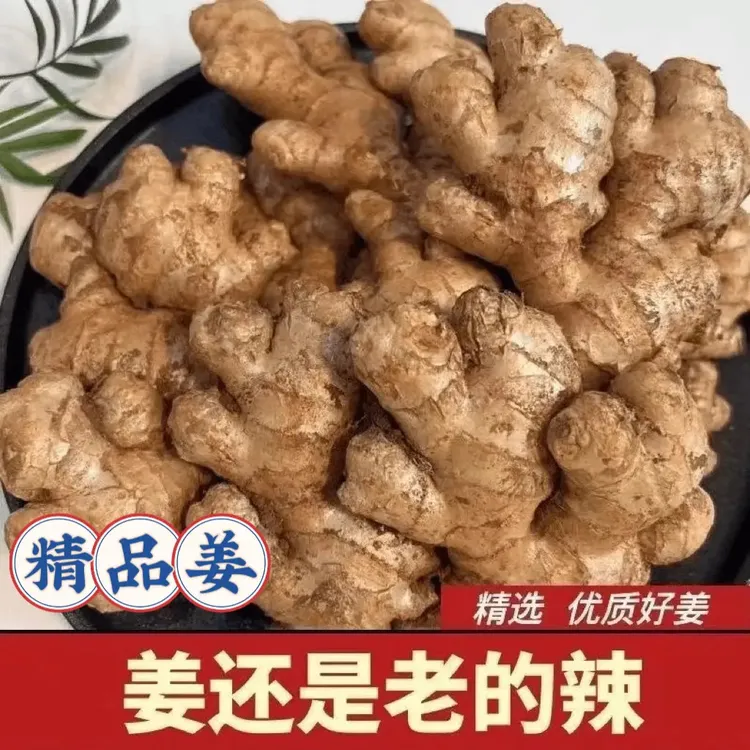 【限量抢5斤】精选小黄姜云南现发9斤/100g新鲜生姜老姜高山嫩姜