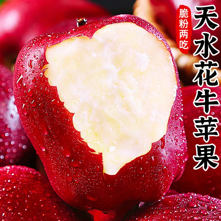 【脆粉两吃】甘肃天水花牛苹果3-9斤红蛇果新鲜水果小苹果红苹果