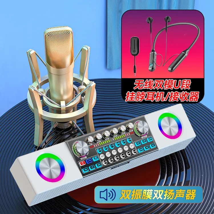 EARISE/雅兰仕SY6专业直播唱歌可室内户外KTV声卡音响一体机套装