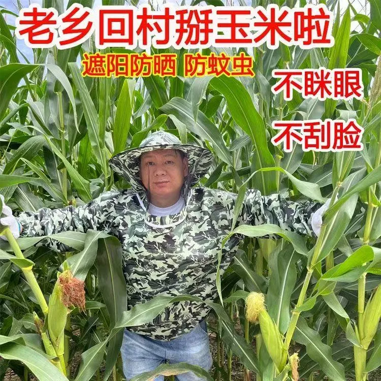 干农活掰玉米防护神器掰玉米防护衣服蚊虫防护服防蚊虫眯眼防刮脸