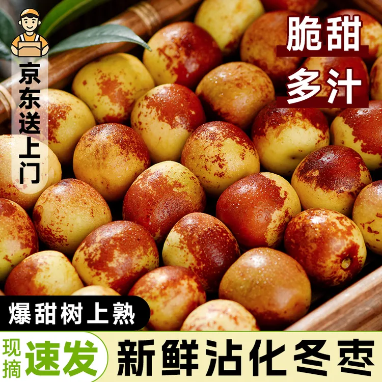 【京东产地直发】正宗沾化冰糖冬枣新鲜当季水果脆甜可口甜枣子