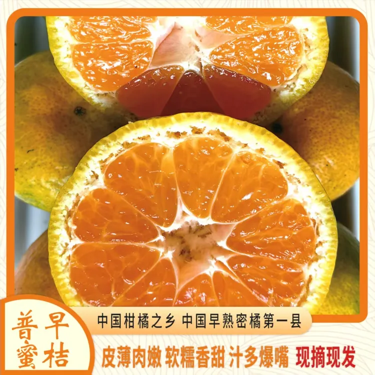 正宗湖南石门三圣株木岗人工精选柑橘甜过初恋鲜上天