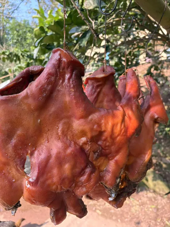 （腊猪脸）刚出炕柴火慢熏传统工艺制作腊猪脸