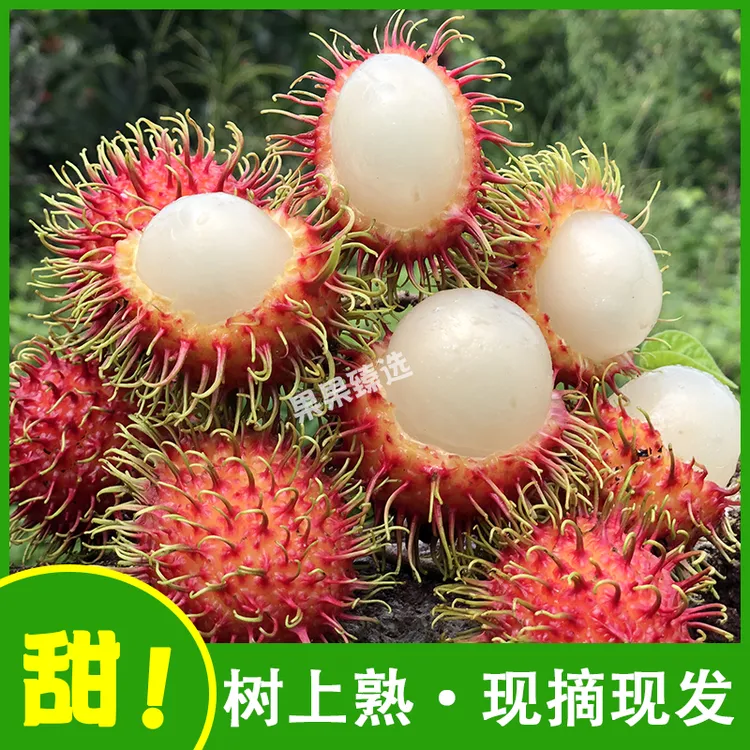 正宗海南保亭红毛丹新鲜水果现摘现发果肉厚顺丰包邮