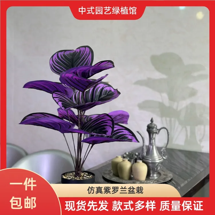 仿真紫罗兰绿植盆栽花永生花花盆