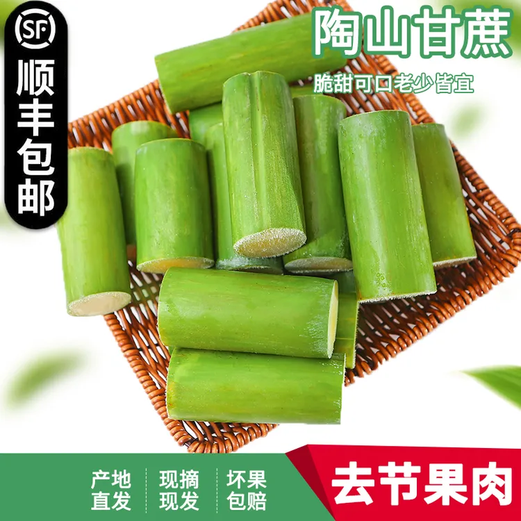 正宗陶山青皮甘蔗绿皮甘蔗皮薄汁水多产地直发顺丰发货