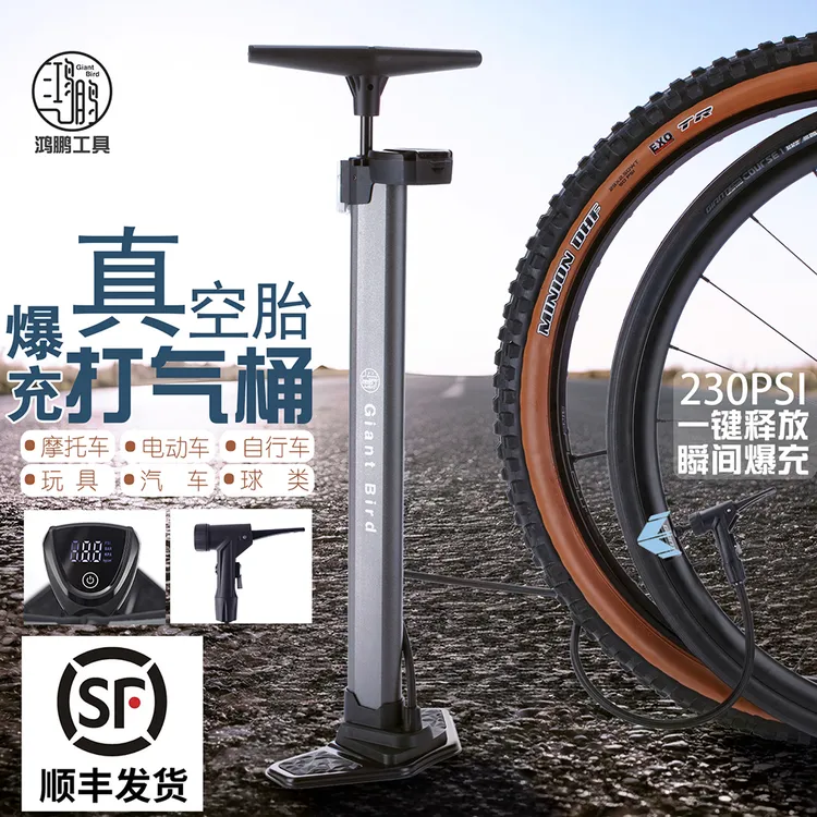 鸿鹏工具真空胎高压爆充数显气泵打气筒