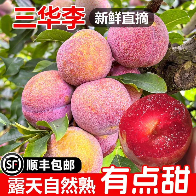 【顺丰速发】潮汕大妈正宗三华李新鲜水果红心李子孕妇甜酸脆当季