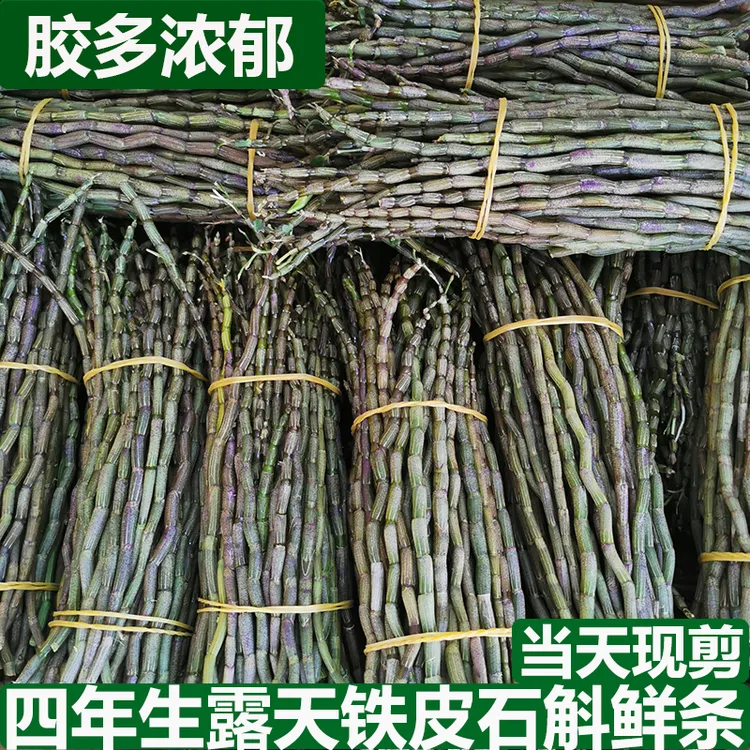 新年好物云南石斛鲜条500克石斛鲜条石斛花铁皮干条石斛胶质好