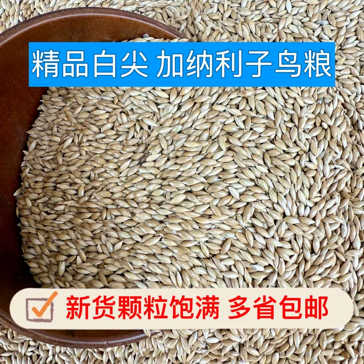 新货白尖加纳利子鸟粮白尖粟鸟食鹦鹉牡丹玄凤文鸟玉鸟鸟粮鹦鹉粮
