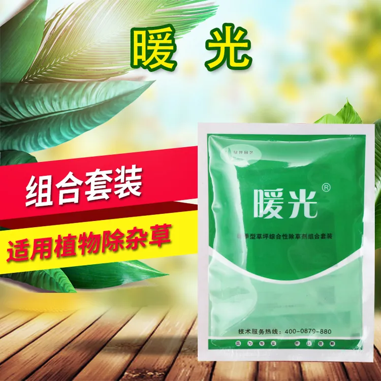 【暖光】套装马尼拉狗牙根暖季型草坪里除杂草禾本科阔叶香附子