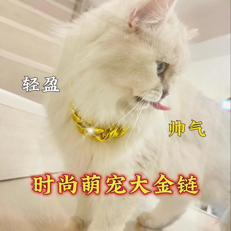 狗狗金项链猫咪金链子饰品宠物塑料仿真大金链子金毛泰迪柯基项圈