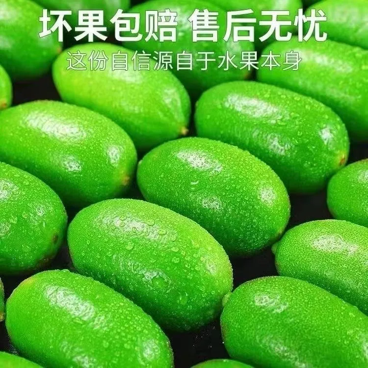【独立包装】海南香水柠檬新鲜采摘泡水皮薄肉厚手打柠檬茶奶茶包邮