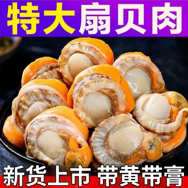 扇贝肉特大号冷冻原汁皇冠贝长岛扇贝北城红贝无沙直播带海鲜批发