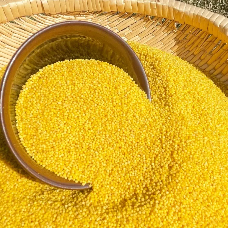 山地新小米月子米宝宝米（米油厚熬粥好喝）！