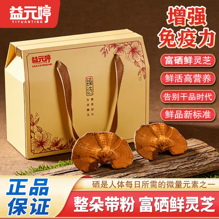 益元婷富硒整朵鲜灵芝增强免疫力鲜活高营养正品礼盒装