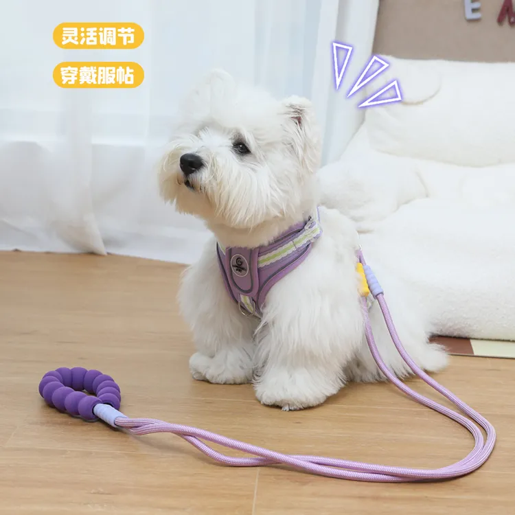 新款糖果色系狗狗牵引绳夏季宠物胸背透气溜狗绳中小型犬柯基比熊