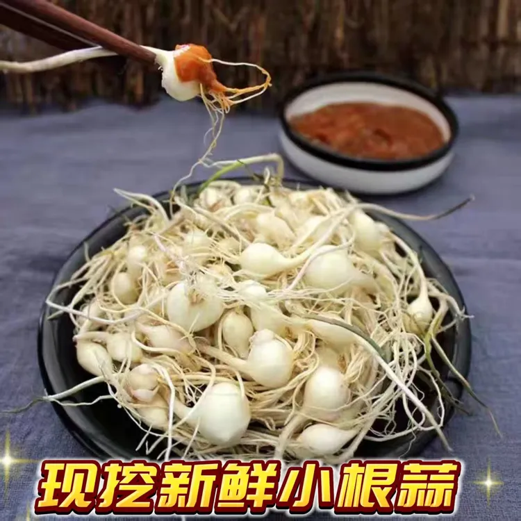 东北特产新鲜小根蒜大脑瓜现挖现发新鲜营养包邮