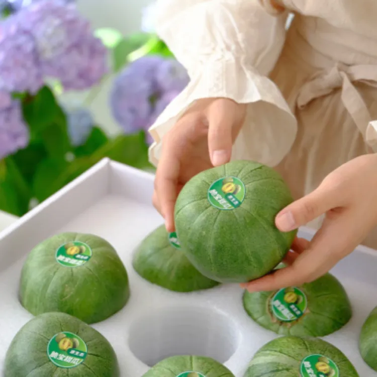 白水绿宝甜瓜新鲜采摘香甜脆嫩口感甘甜应季水果包邮