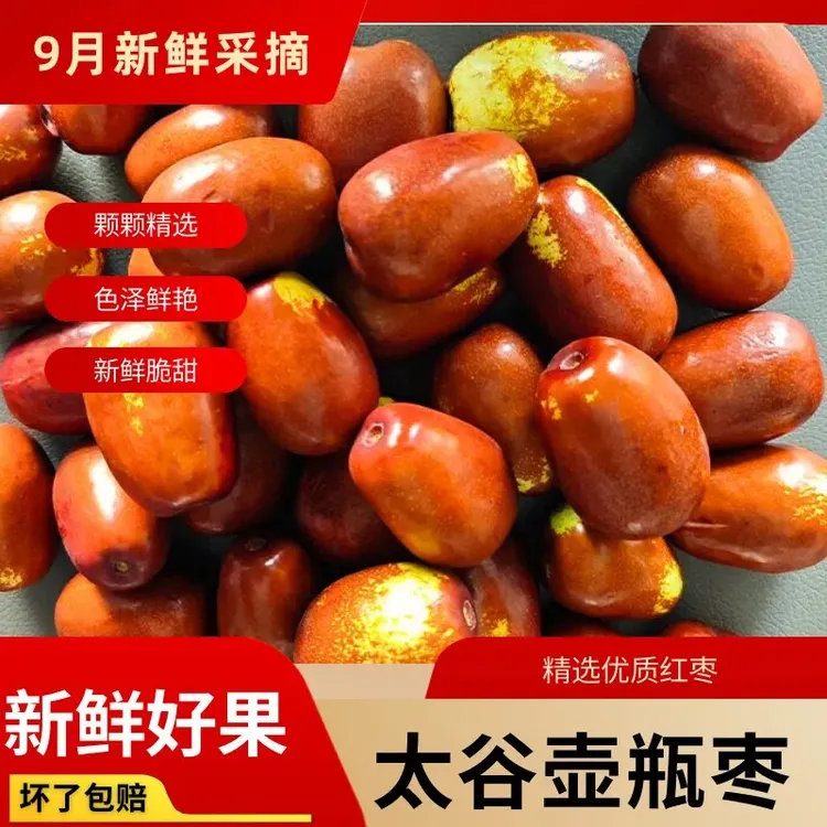 太谷壶瓶枣新鲜现摘水果脆甜多汁皮薄应季鲜枣