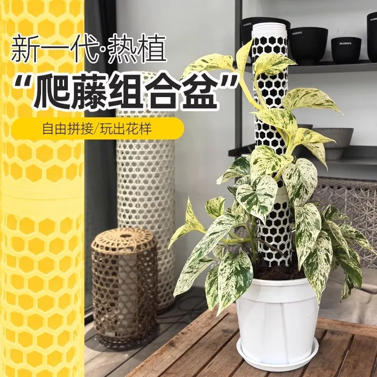 水苔柱花盆龟背竹热植专用白龟蔓绿绒可拼接新型植物攀爬柱支撑杆
