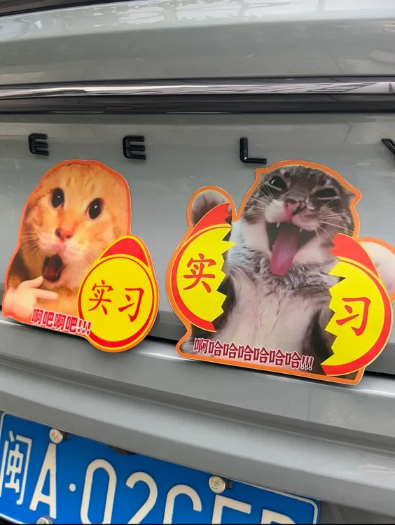 【爱宝】耄耋创意搞笑文字磁吸汽车车贴新手司机车尾警示装饰贴