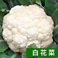  【全店满5元包邮】白花菜 白色花椰菜种子 蔬菜种子四季播种 菜园