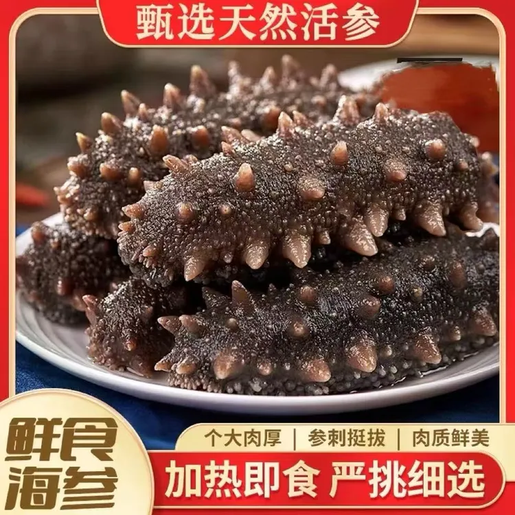 【正宗大连辽刺】鲜食海参 连云港发货 