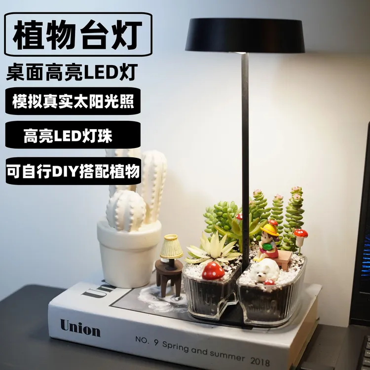 多肉DIY微景观创意多功能台灯绿植盆栽补光灯桌面植物生长灯床头