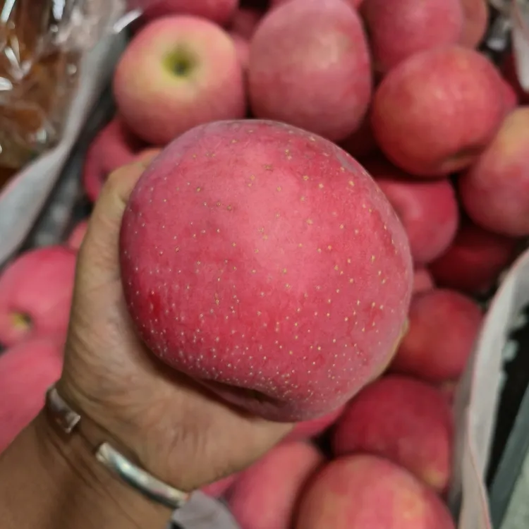 正宗云南宣威龙场五里坪大红苹果脆甜多汁不打蜡营养康