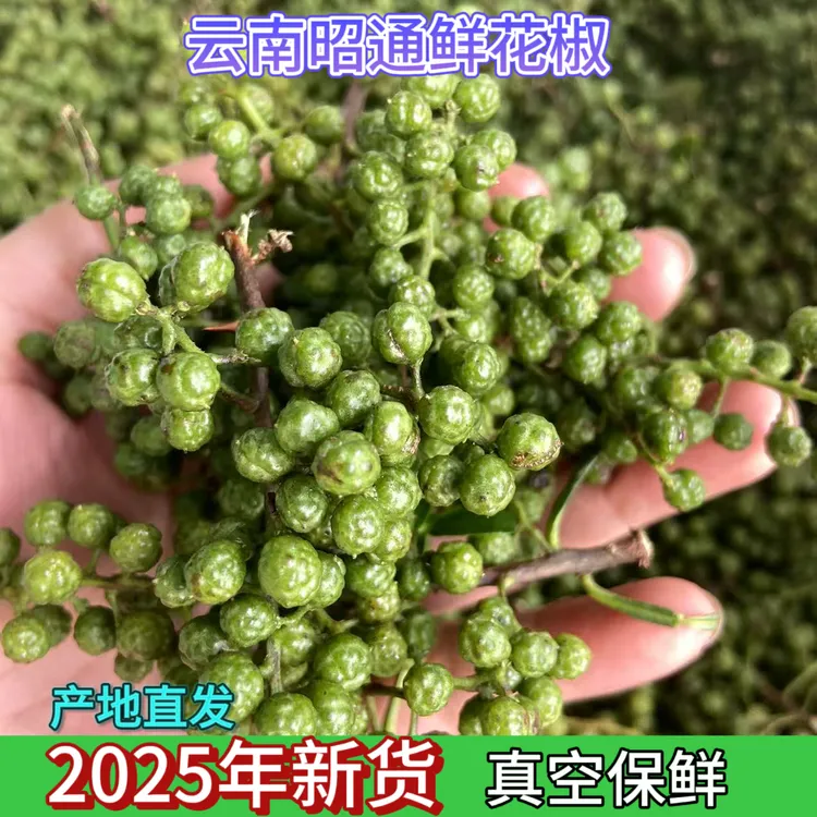 云南昭通特产新鲜九叶青保鲜花椒清香麻香可烹饪调味